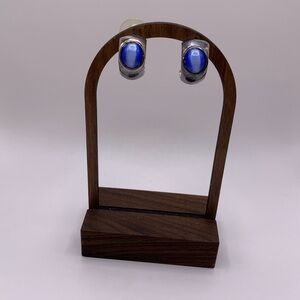 Blue Cat’s Eye Stone Stud Earrings in Silver-Tone Setting